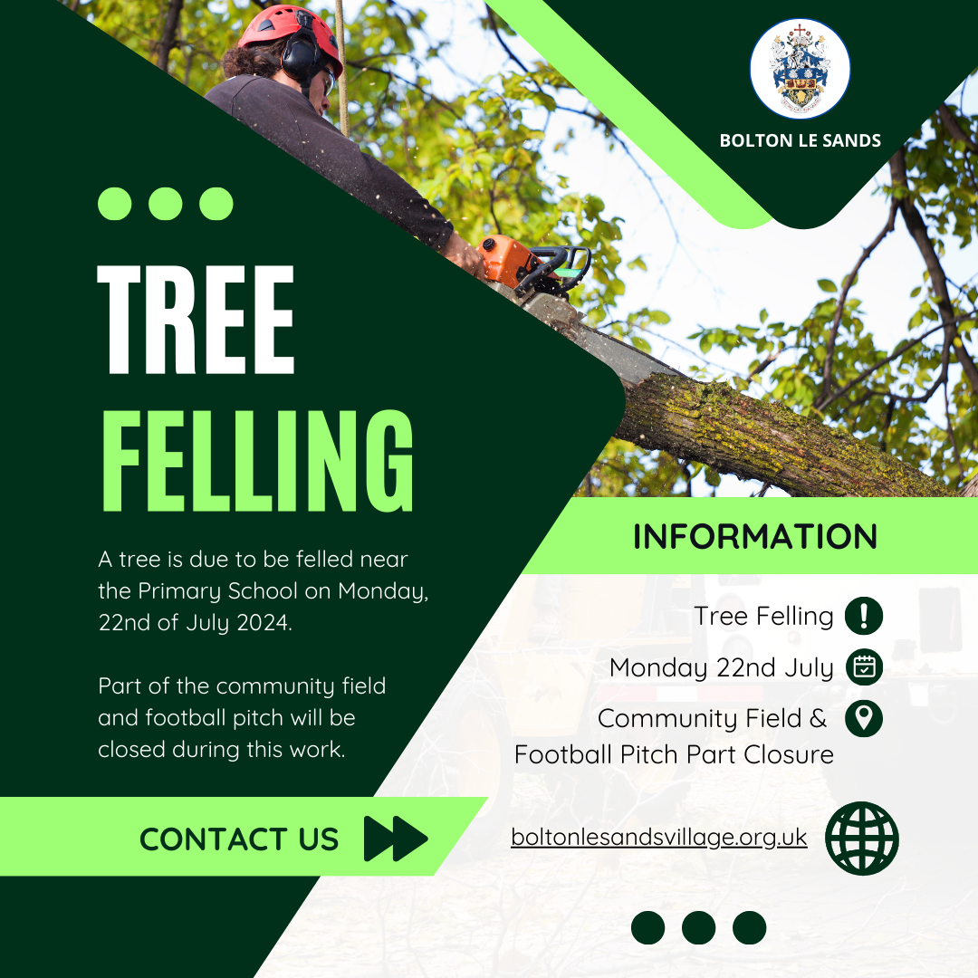 Tree Felling on Community Field 22nd July 2024